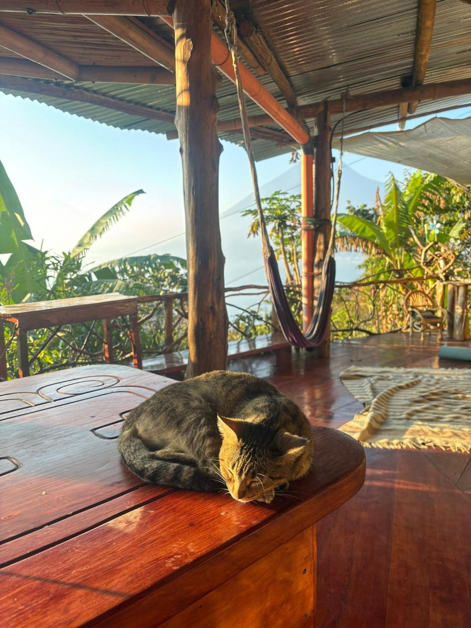 Earthship Atitlan Vendégház San Marcos La Laguna Kültér fotó